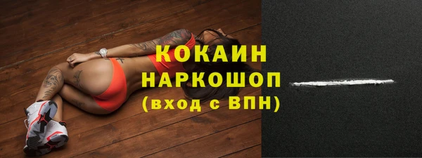 ГАЛЛЮЦИНОГЕННЫЕ ГРИБЫ Рославль