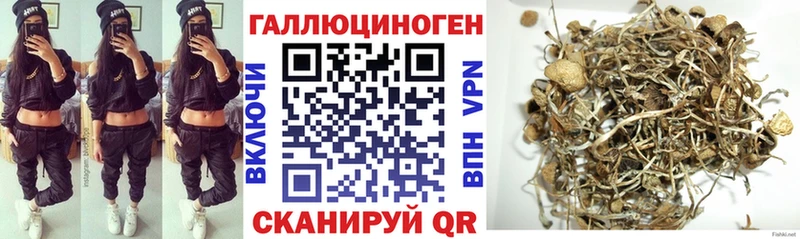 Галлюциногенные грибы мицелий  Купить закладки  Северодвинск 